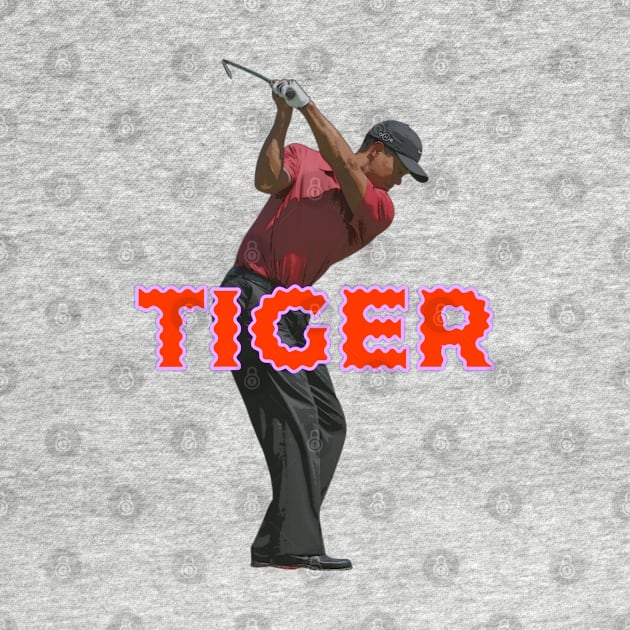 Tiger Woods backswing by YungBick